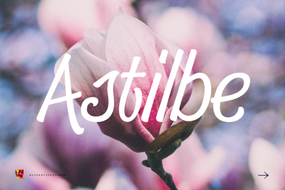 Astilbe Font: Handwritten Elegance for Crafters