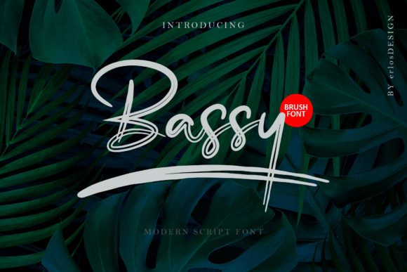 Bassy: A Stylish Script Font