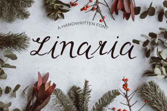 Linaria: A Elegant Script Font for Business