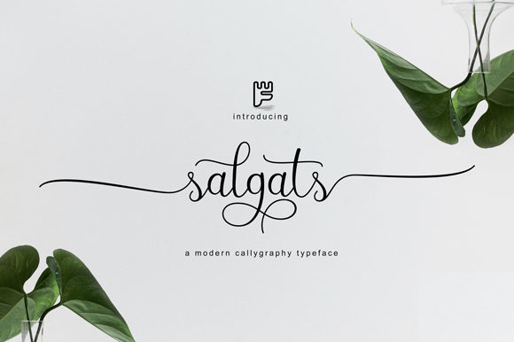 Salgats: A Stylish Script Font